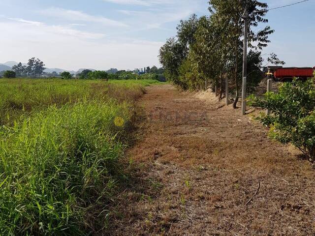 #1844 - Terreno para Venda em Itajaí - SC - 3